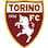 Icon: Torino